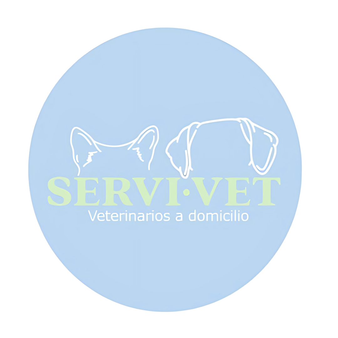 Imagen 16