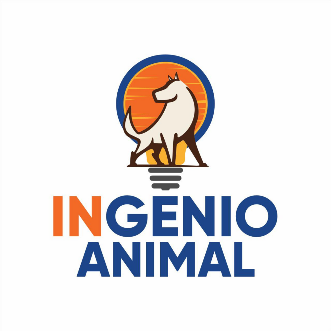 Imagen 5