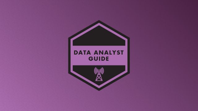 Data Analyst Guide