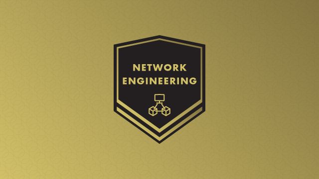 Kurs Network Engineering | Cisco, OSPF & VLAN | DTI