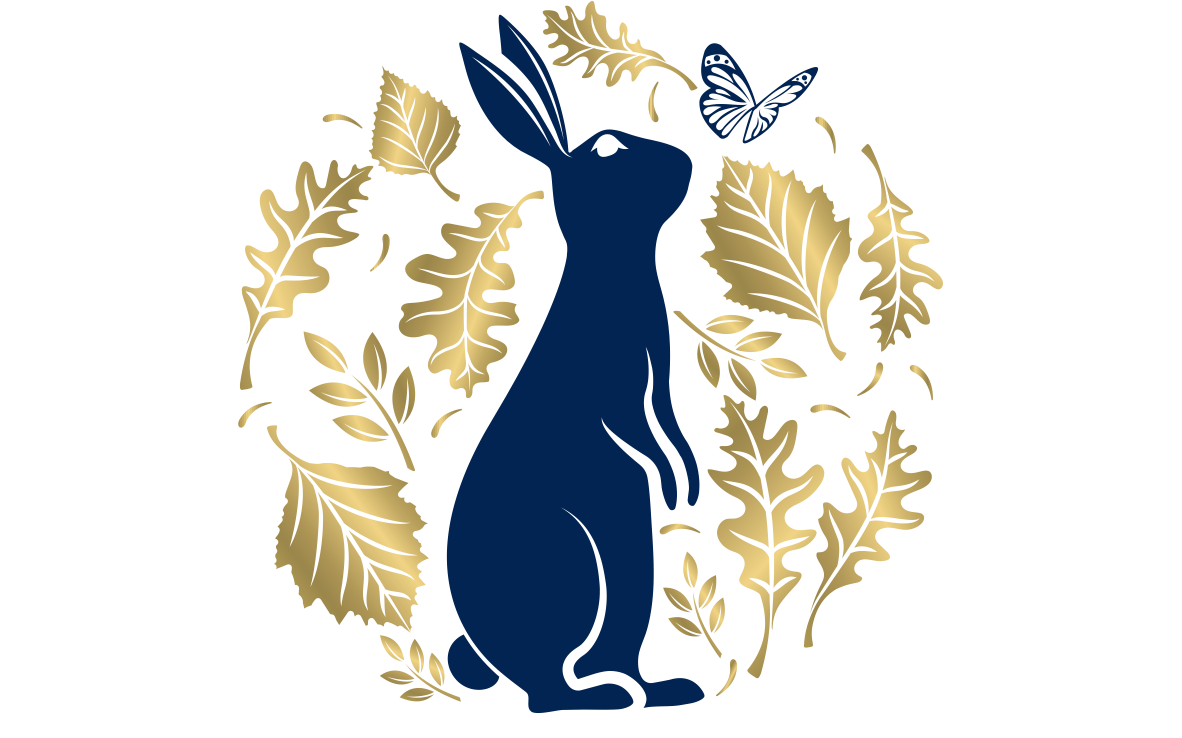 Bold Balance Blueprint Logo