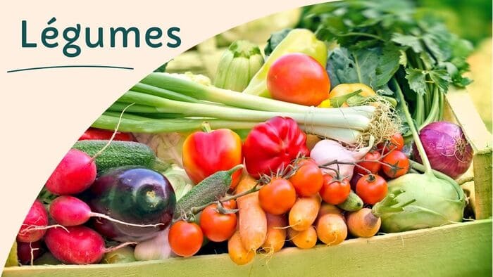 Les catégories utiles à connaître et leurs propriétés culinaires