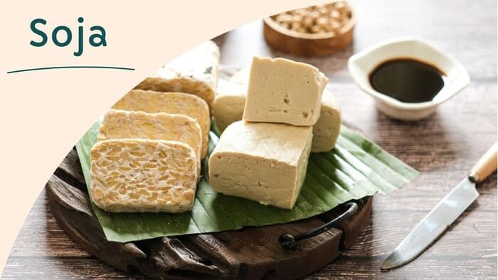 Lait de soja, tofu, okara, sauces de soja, miso et tempeh