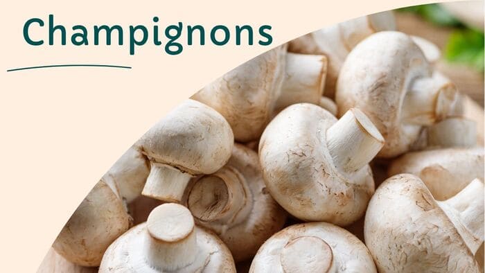 Leurs propriétés culinaires