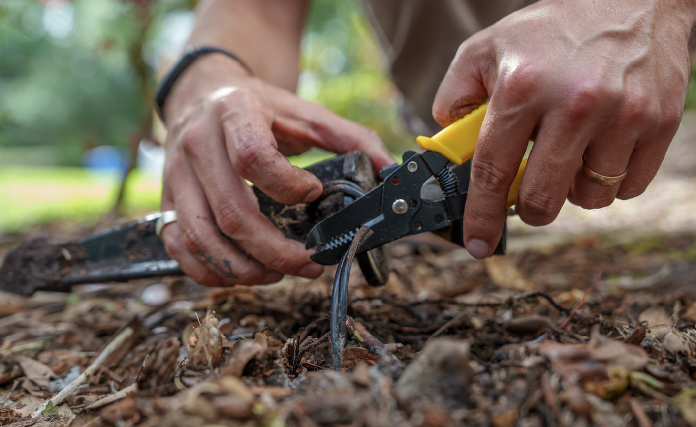 Wire cutting installation