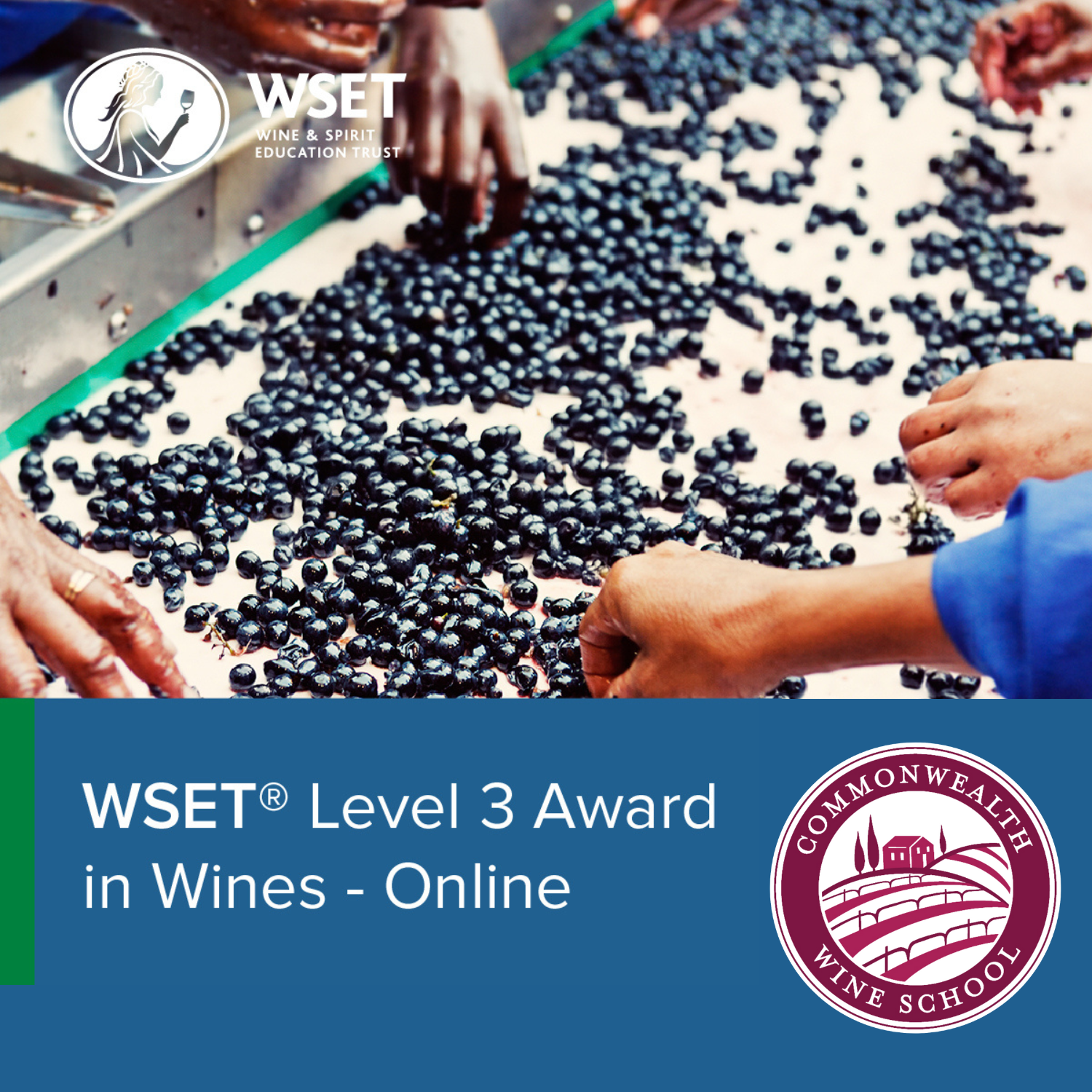 WSET Level 3 Wine Course - Napa Wine Class
