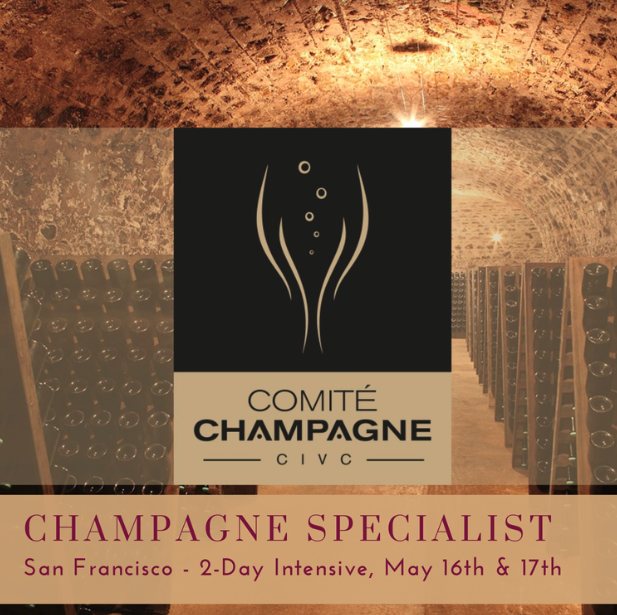 WSET Level 1 Wine Online