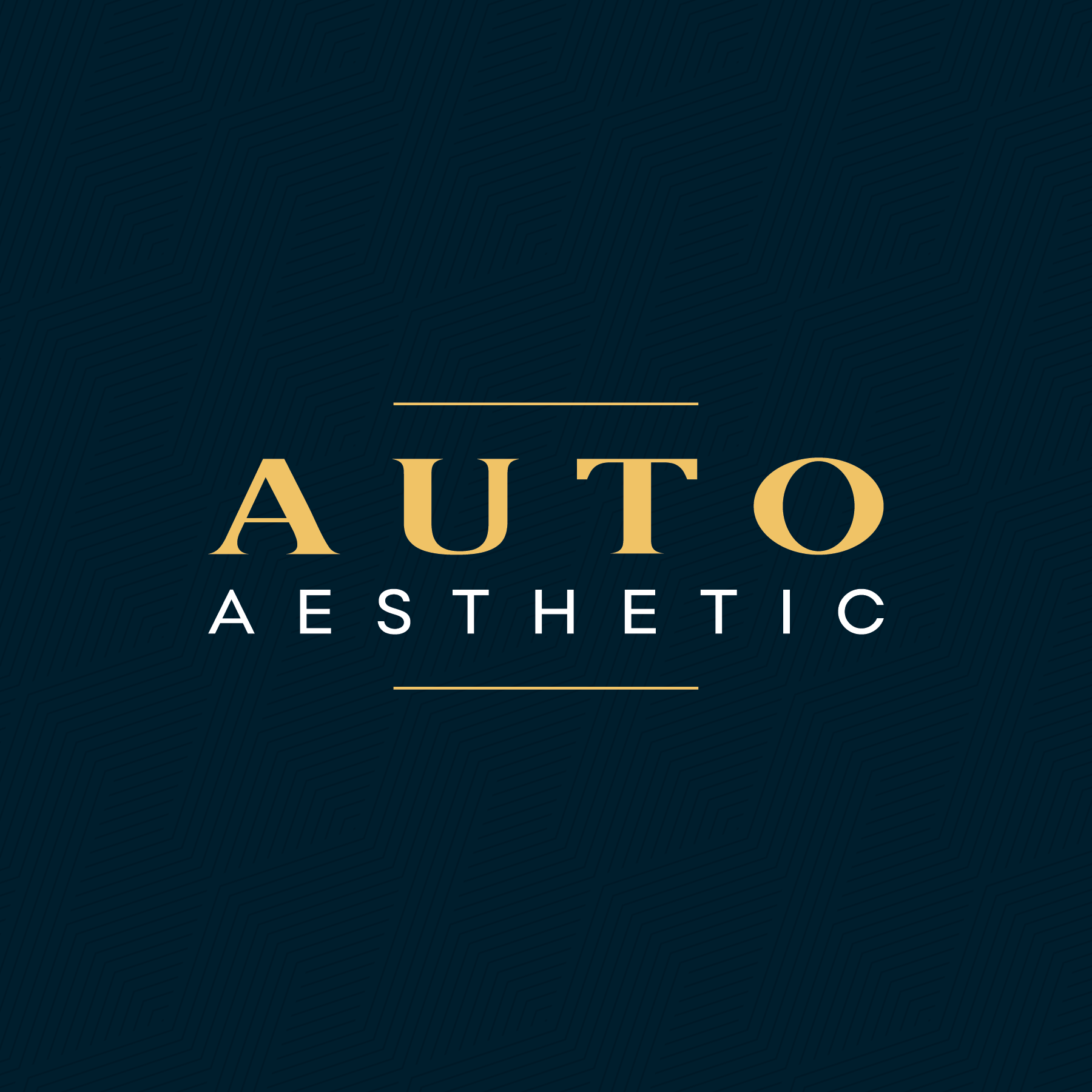 Auto Aesthetic LLC logo in Lewis Center Ohio