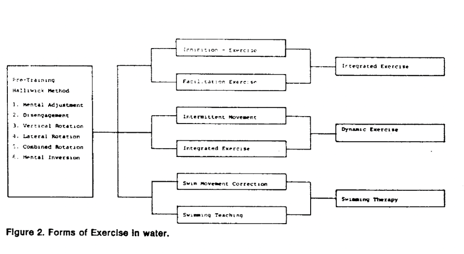 Diagram showing forms of exercise in water.