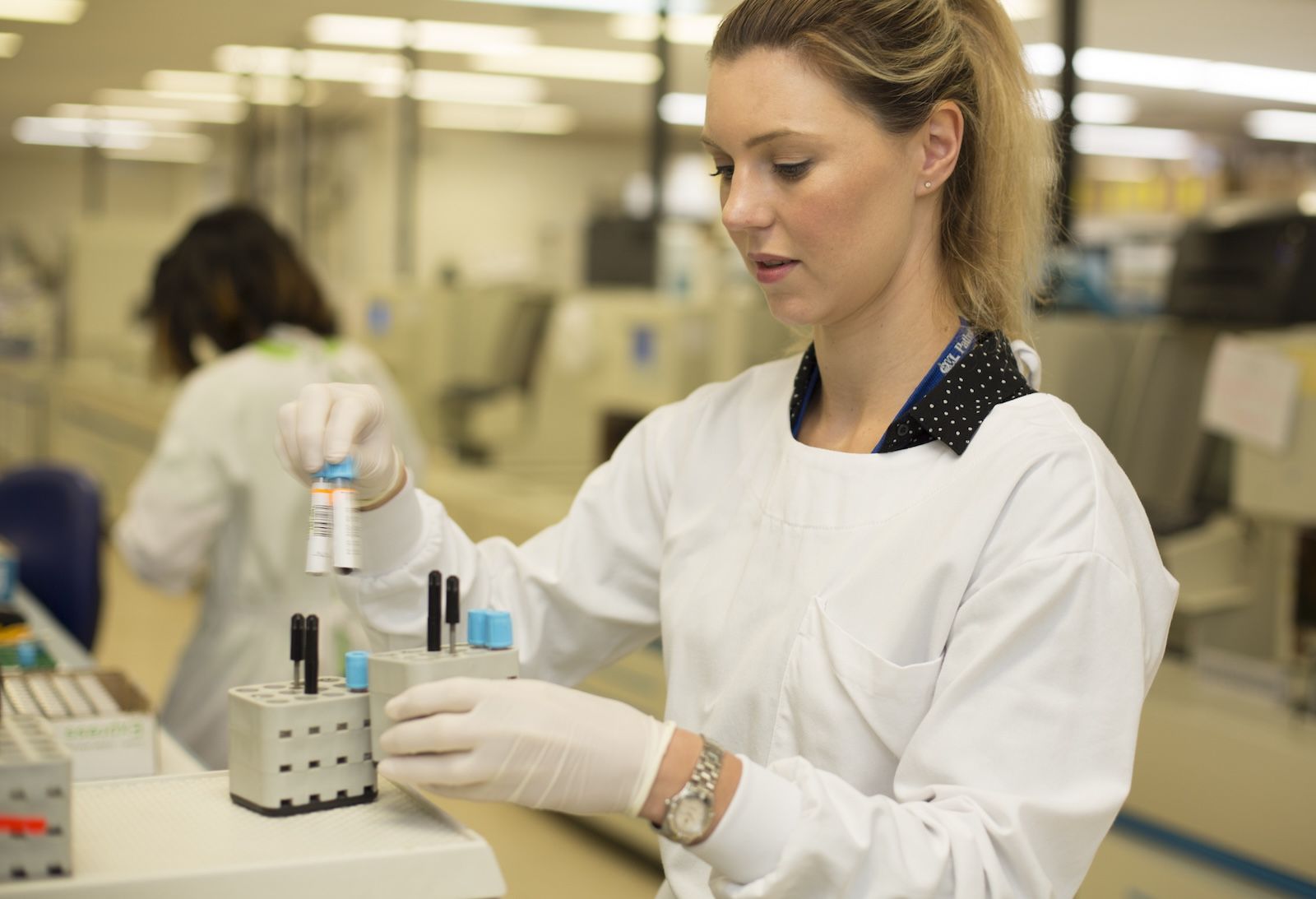 Female scientist working in a lab