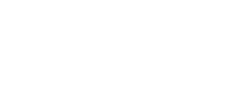 logo british school
