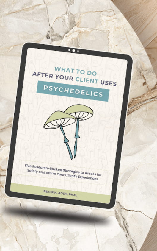 Tablet displaying the cover of 'What to Do After Your Client Uses Psychedelics' by Dr. Peter H. Addy