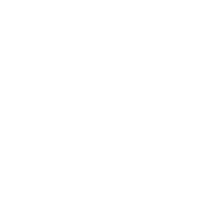AIM Certified Master — Accelerating Implementation Methodology