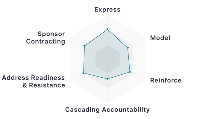 Sponsor Assessment radar chart showing AIM methodology dimensions