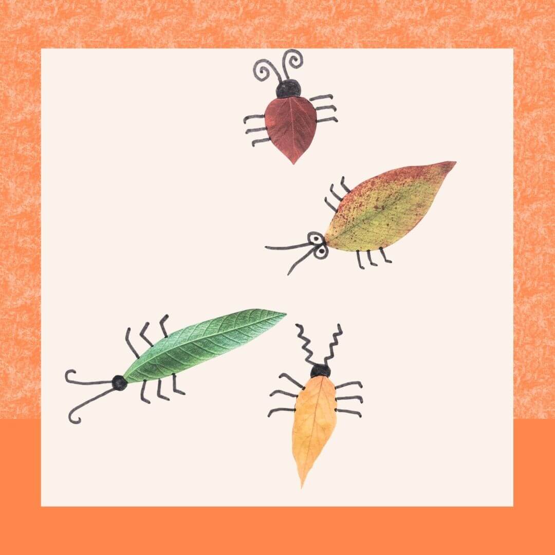 bug craft