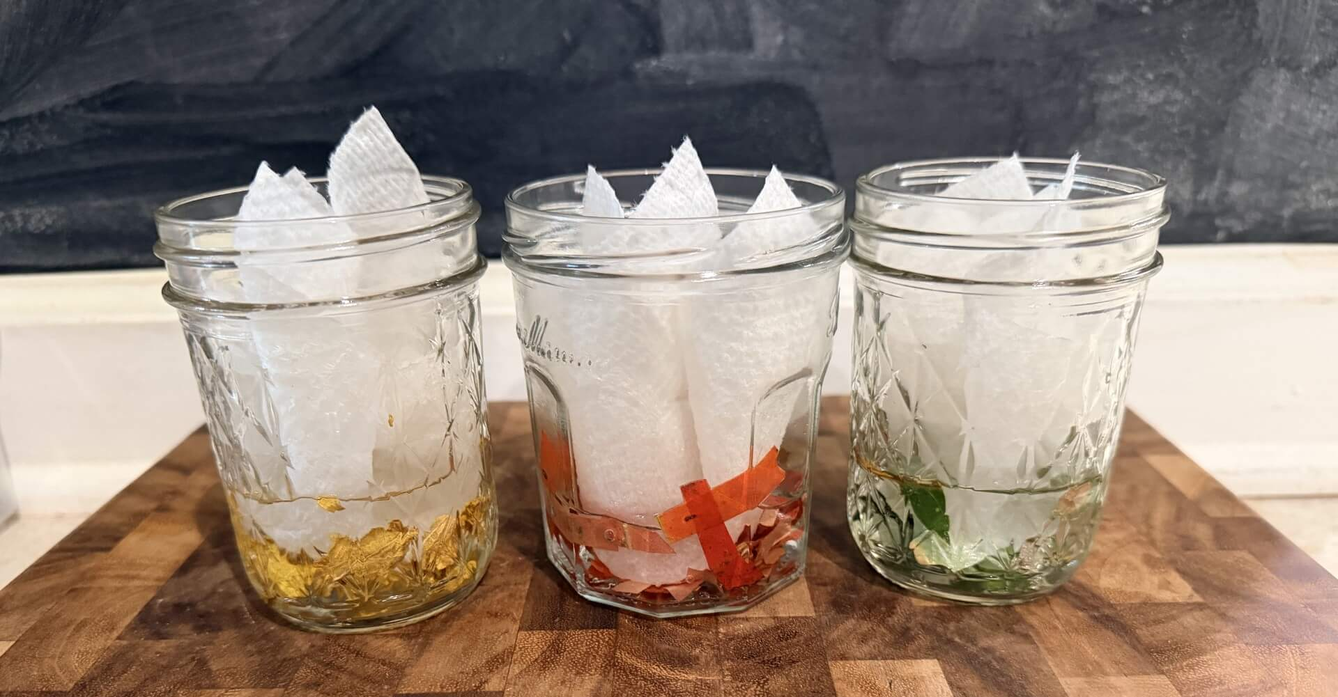 3 jars with leaves and food coloring
