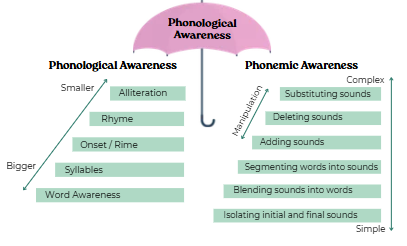 phonological awareness umbrella showing where phonemic awareness skills fit