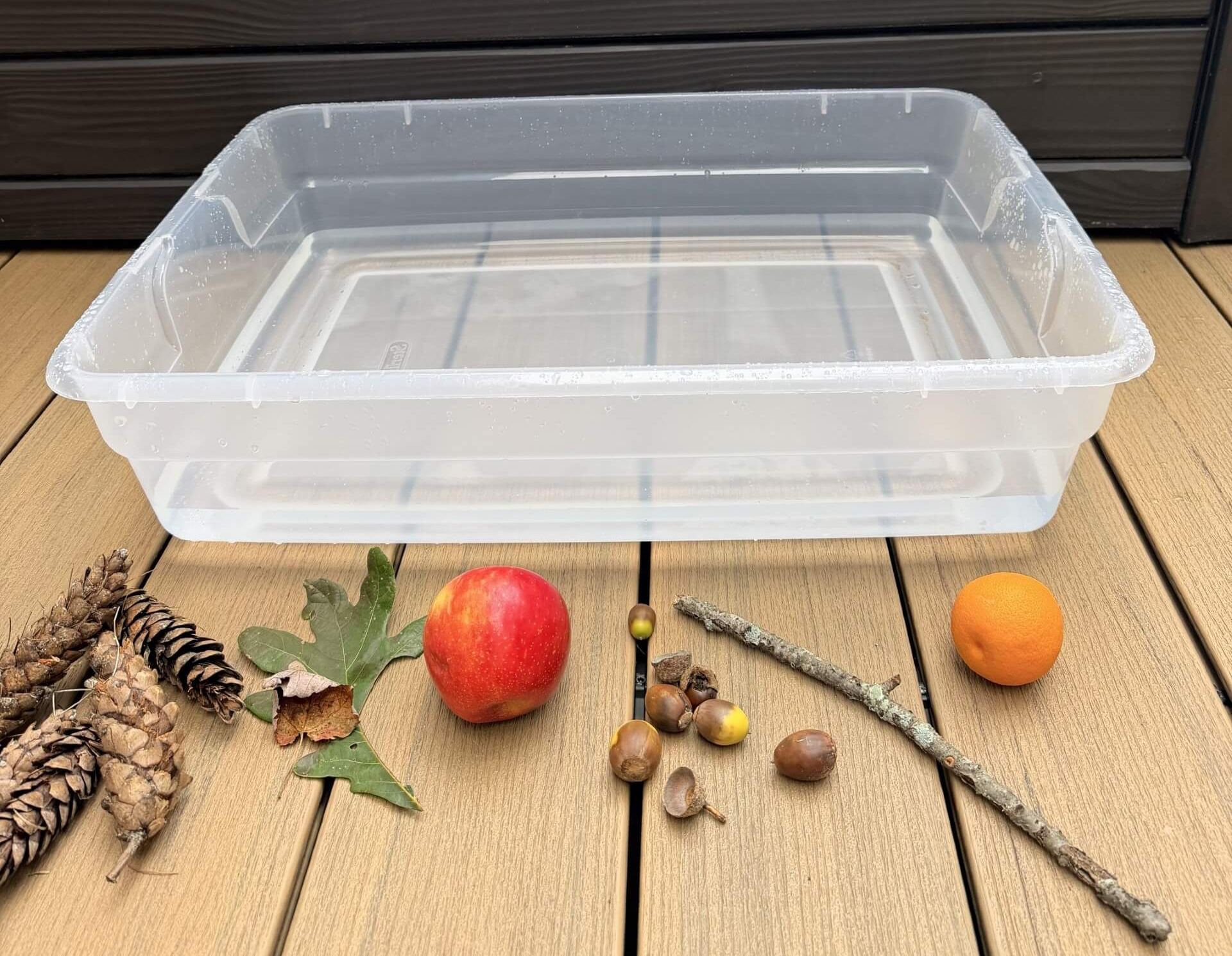 sink float fall activity