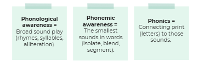 phonological awareness vs phonemic awareness vs phonics visual
