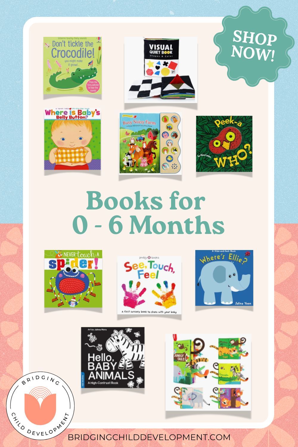 image of various books for infant teachers of 0-6 month olds