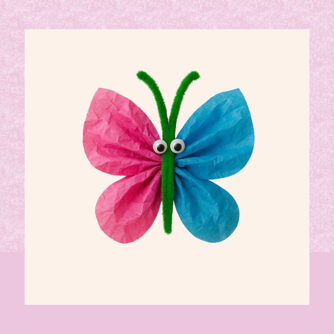 butterfly craft