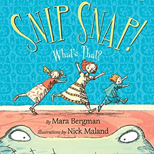 snip snap book cover