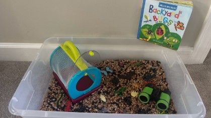 sensory bin bug theme