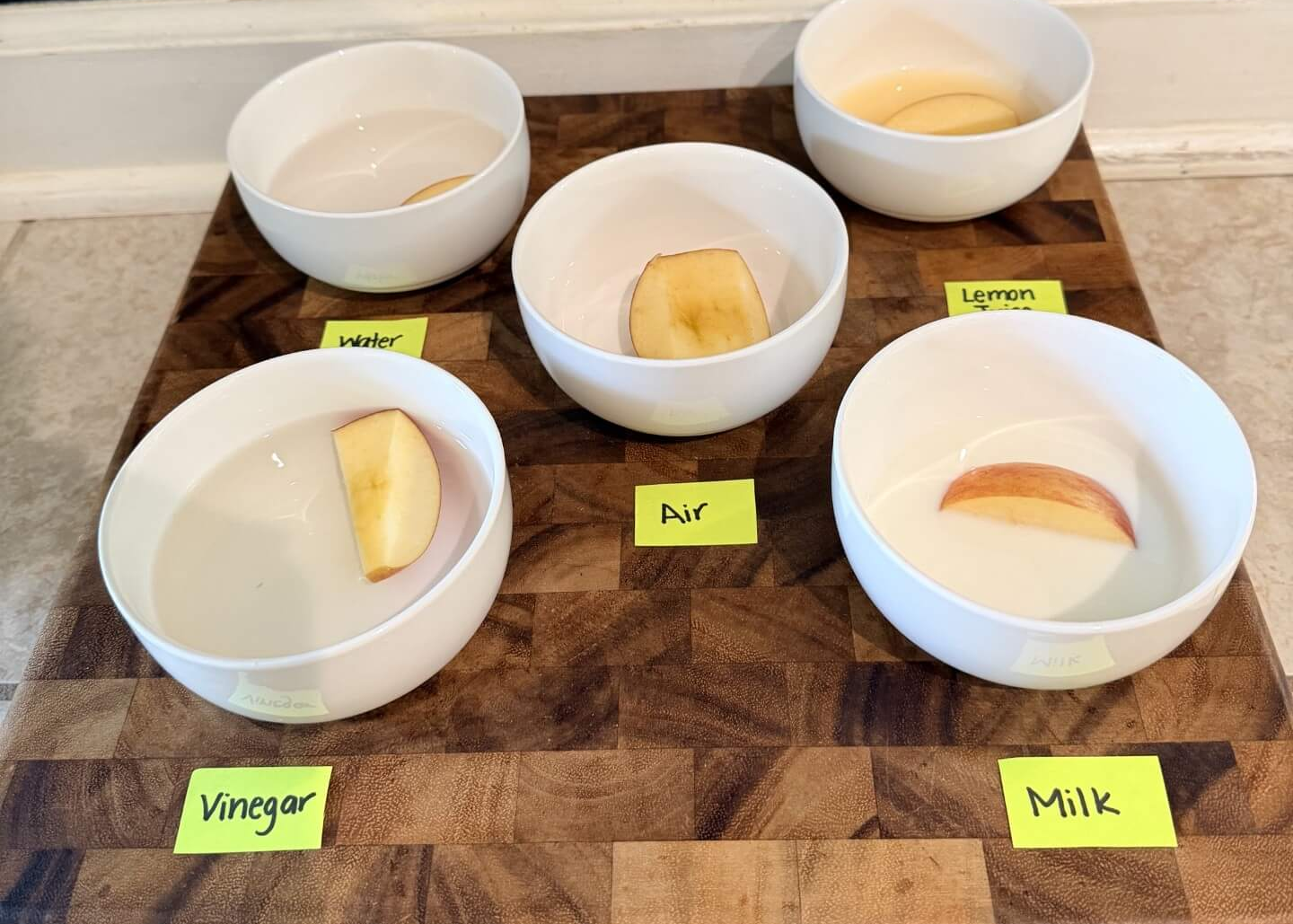 apples in different bowls for experiment