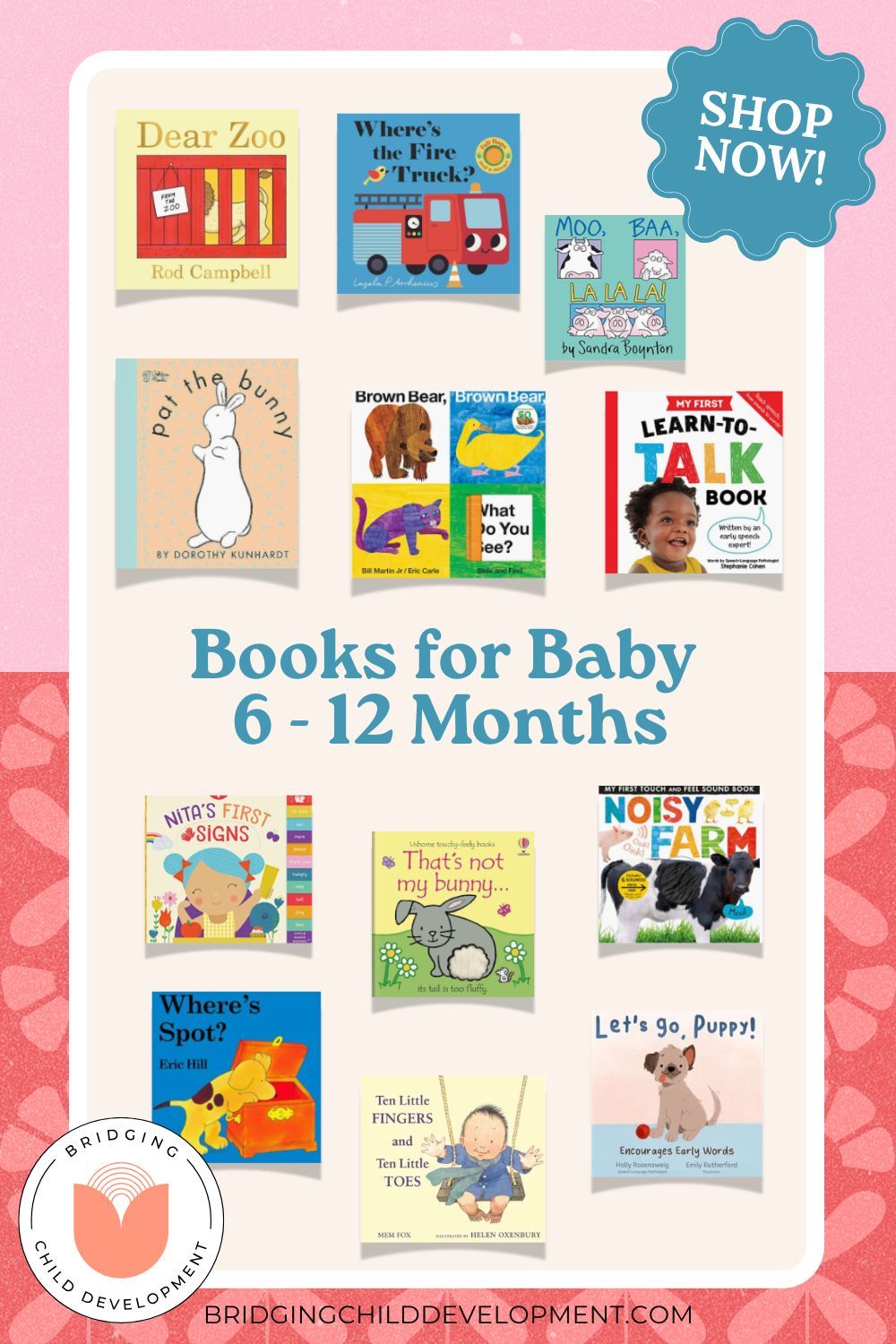 image of various books for infant teachers of 0-6 month olds