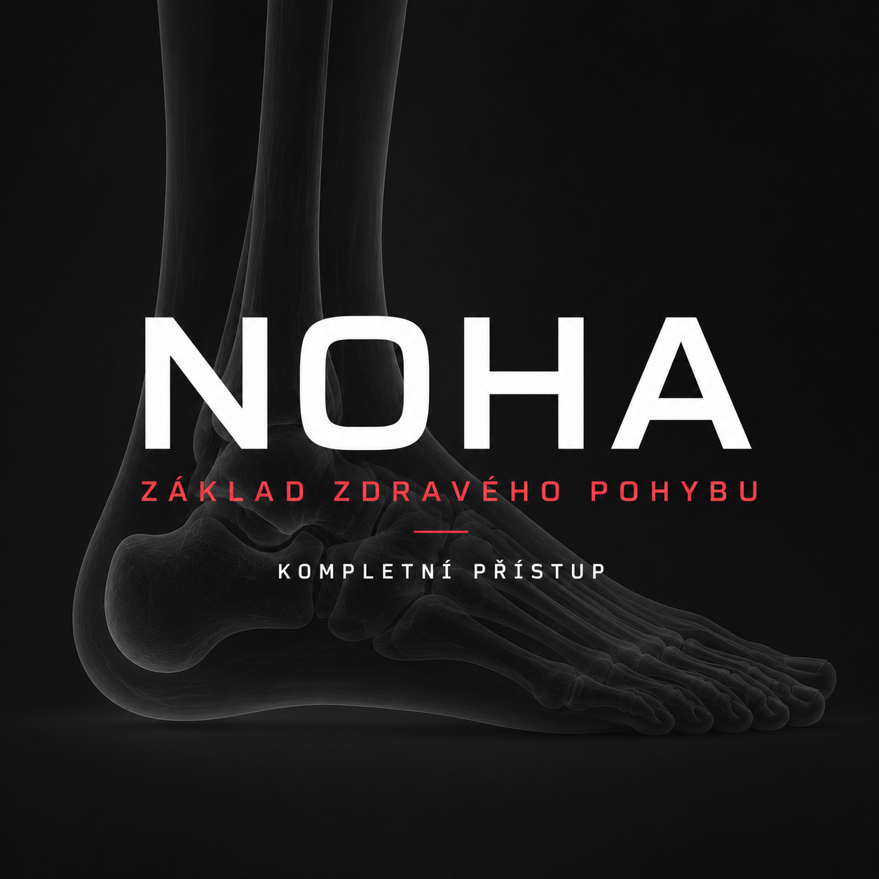 Noha: Základ zdravého pohybu