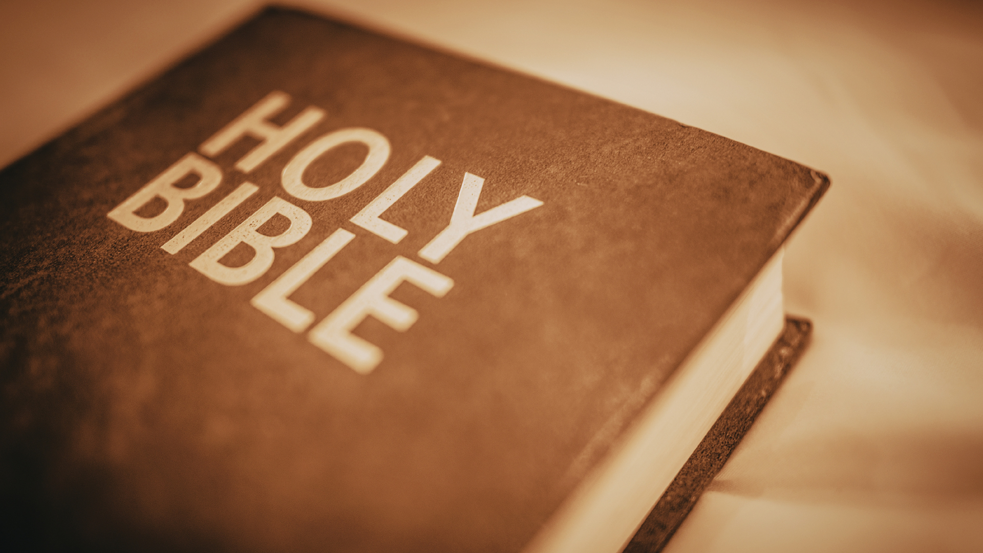 studying an open Bible during a quiet morning