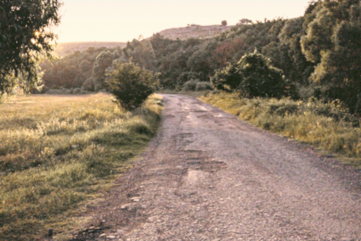 A gravel track climbing through open grass toward a ridge already lit by low sun