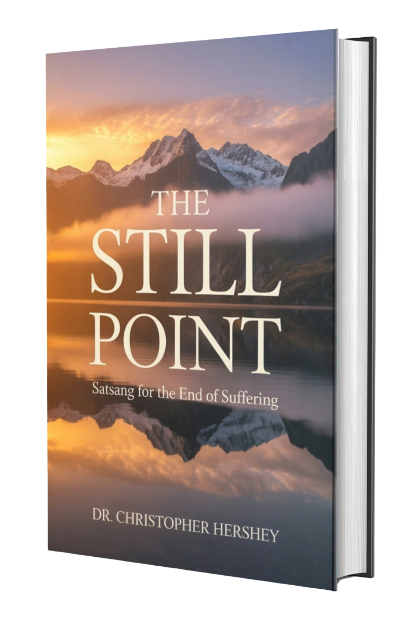 The Still Point — book cover