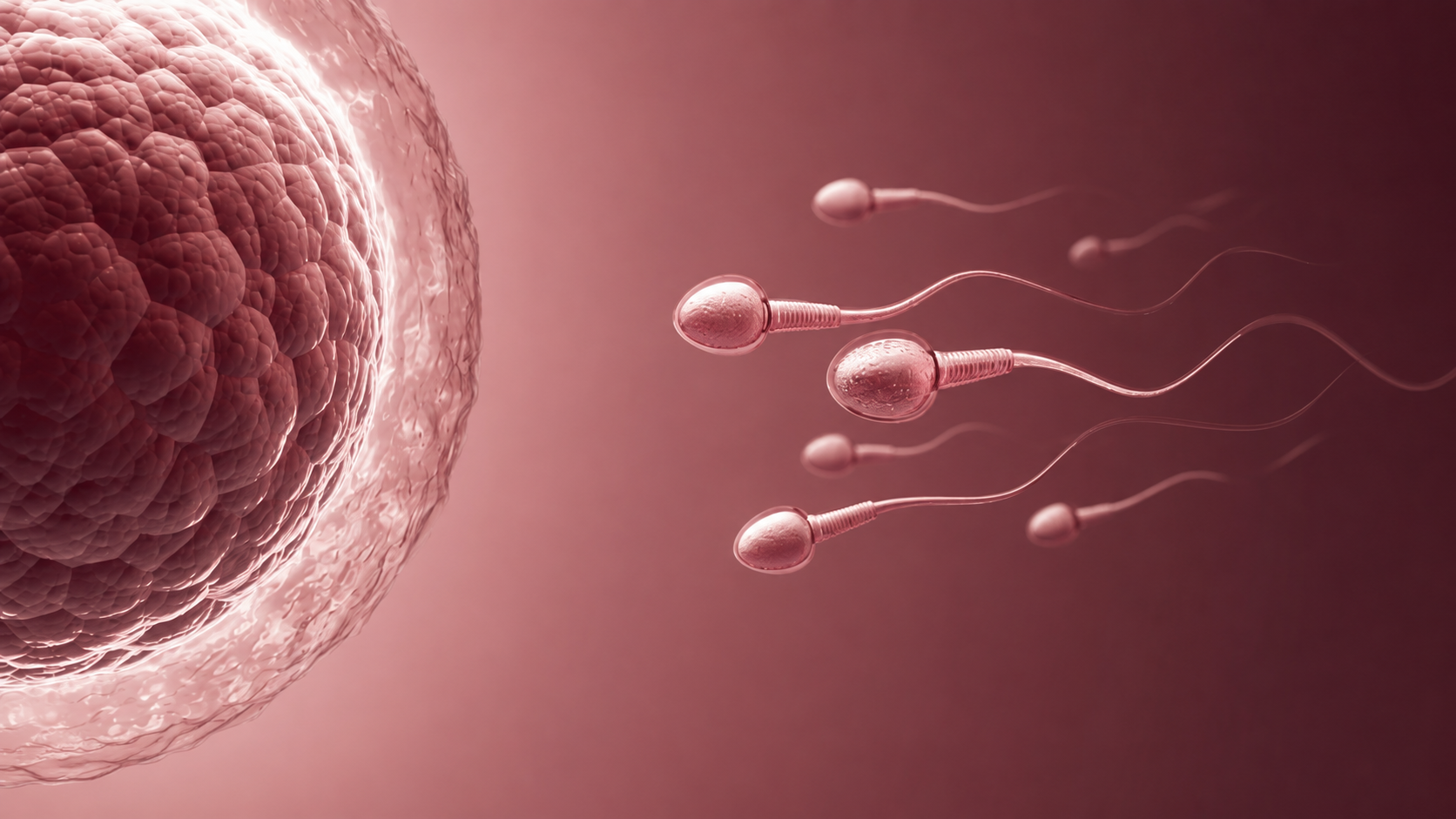 Curso de Preconcepci&oacute;n y fertilidad para farmac&eacute;uticos