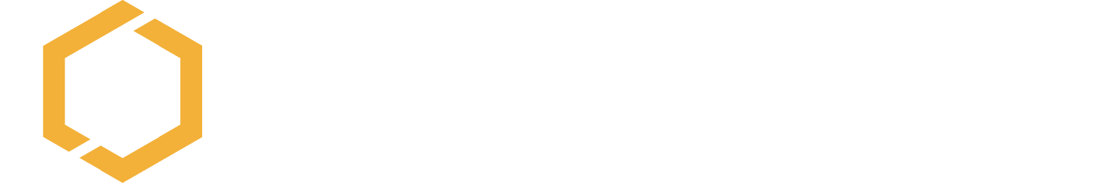 IGF logo