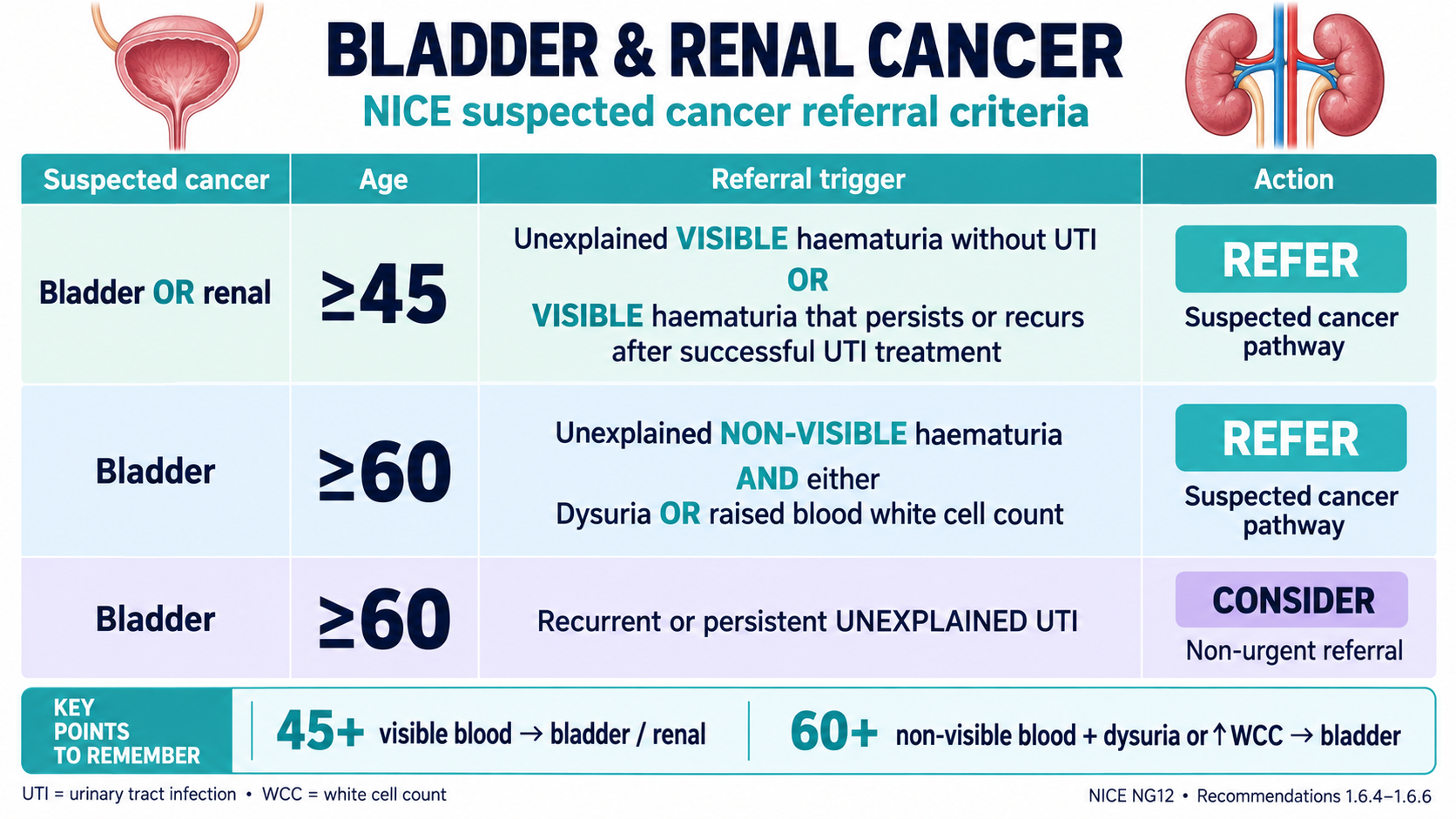MSRA Mastery Urology: Haematuria: cancer referral; Cameo-free course preview