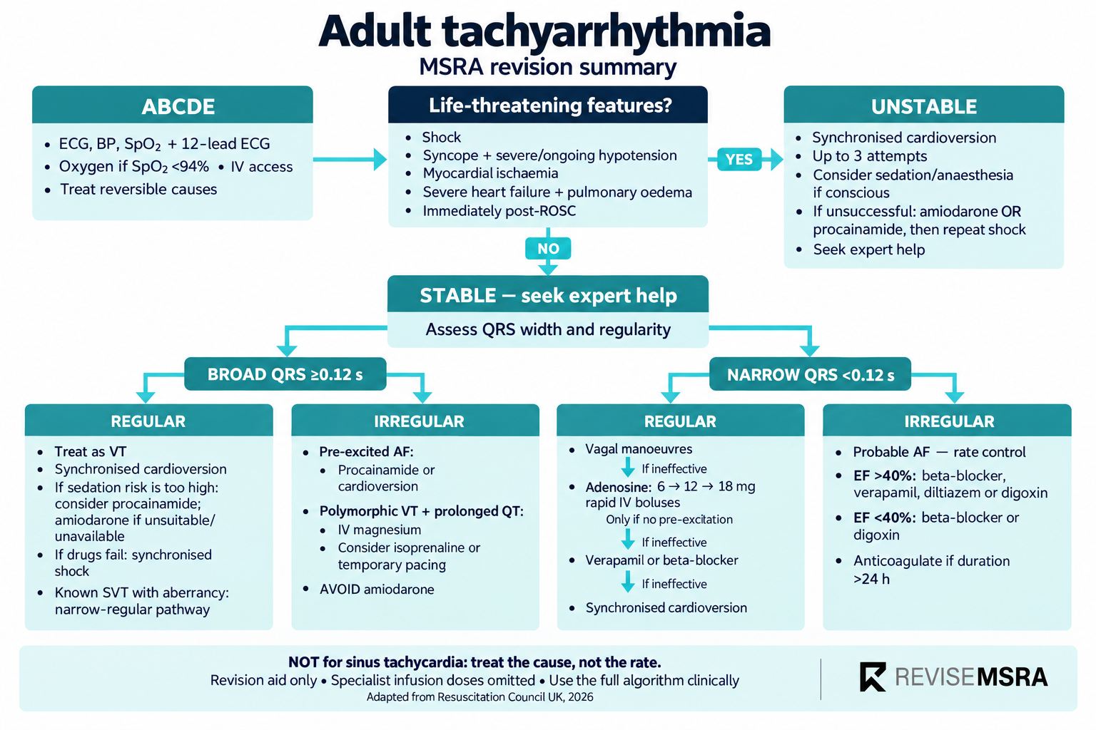 MSRA Mastery Cardiology: Adult tachyarrhythmia; Cameo-free course preview