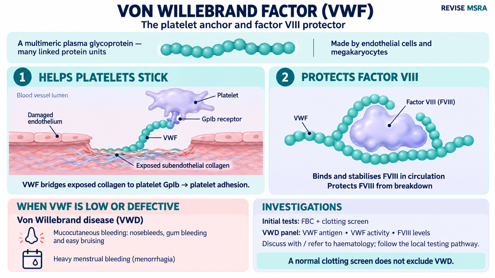MSRA Mastery Haematology: Von Willebrand factor: adhesion and factor VIII; Cameo-free course preview