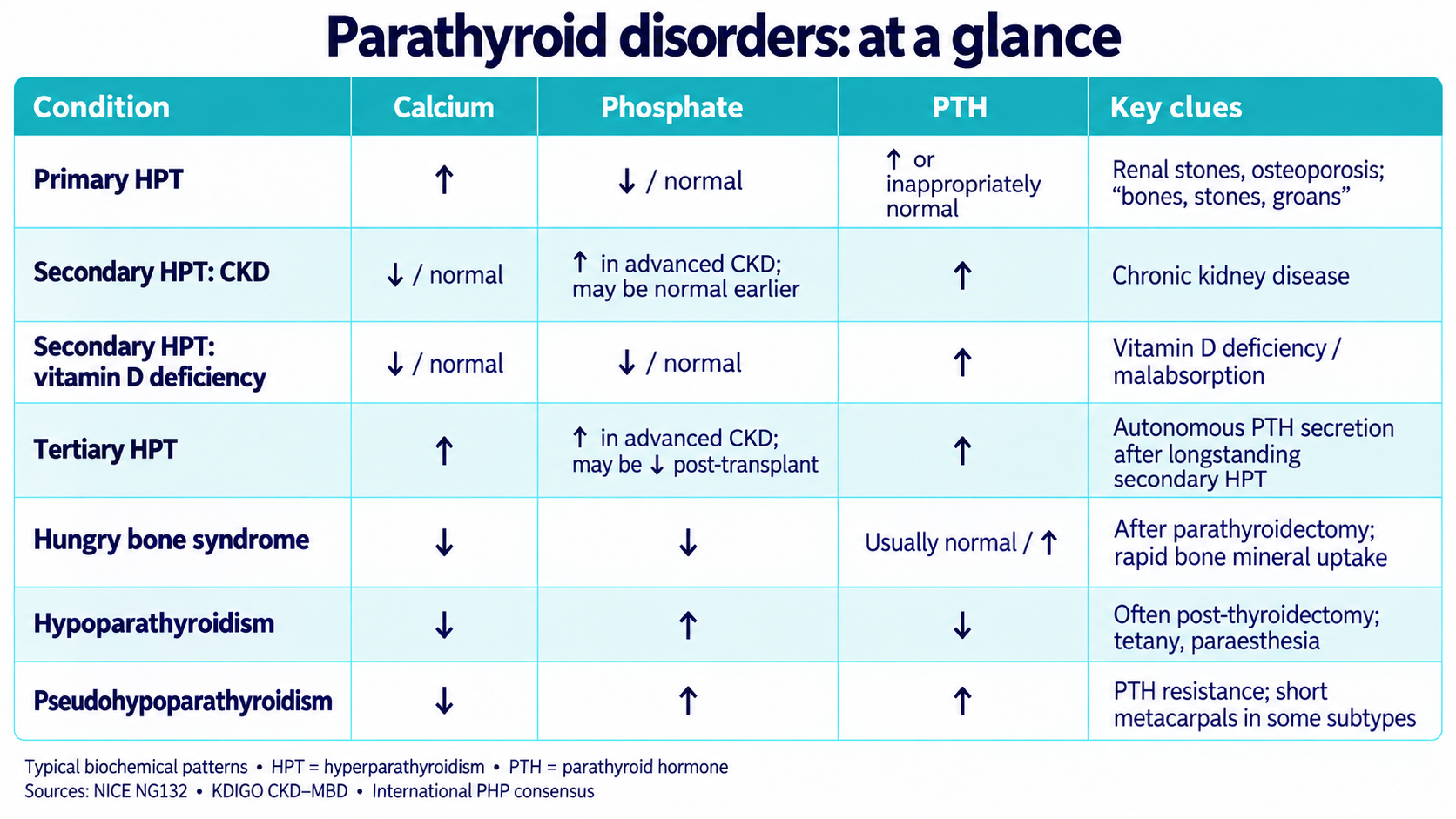 MSRA Mastery Endocrinology: Parathyroid disorders: at a glance; Cameo-free course preview