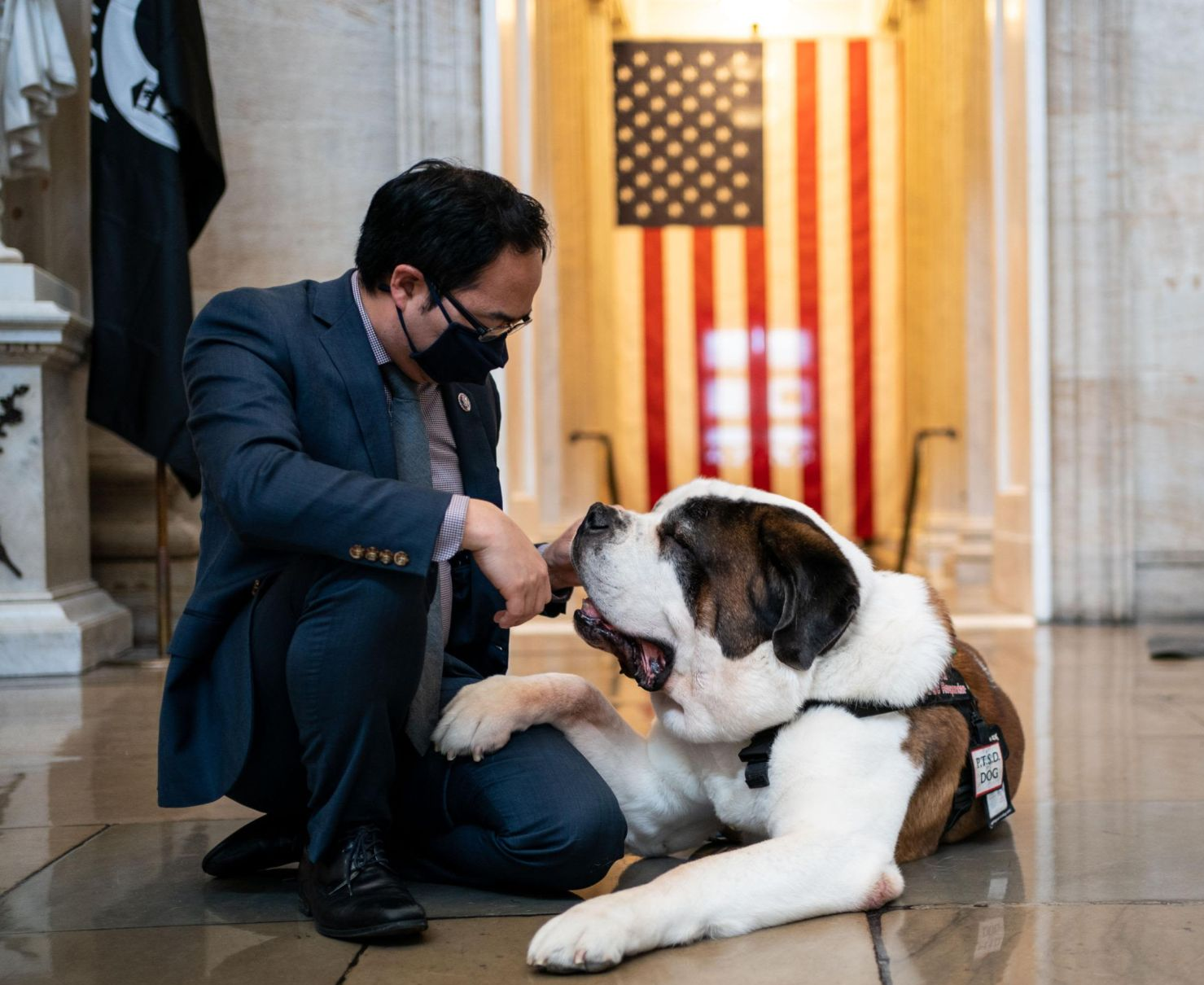 Police Comfort Dogs