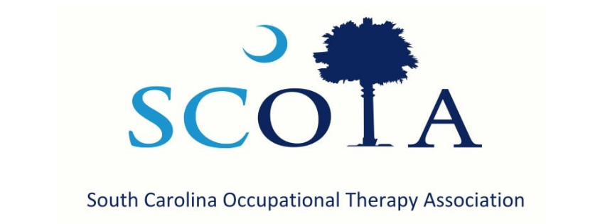 logo of the nevada occupational therapy association, a grey outline of the state of Nevada on the left with the initials NOTA to the right, with Nevada Occupational Therapy Association beneath the initials in navy