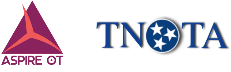 Logo for Tennessee Occupational Therapy Association with blue letters and graphic spell TNOTA 
