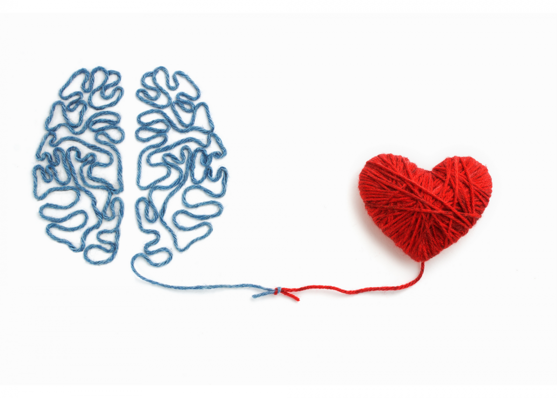 photot of a heart and a brain in yarn