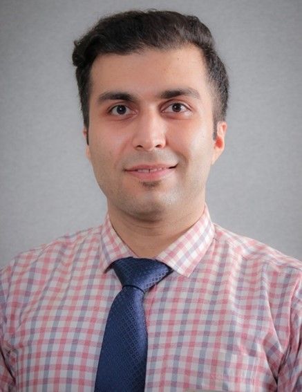 Hamed Hashemian