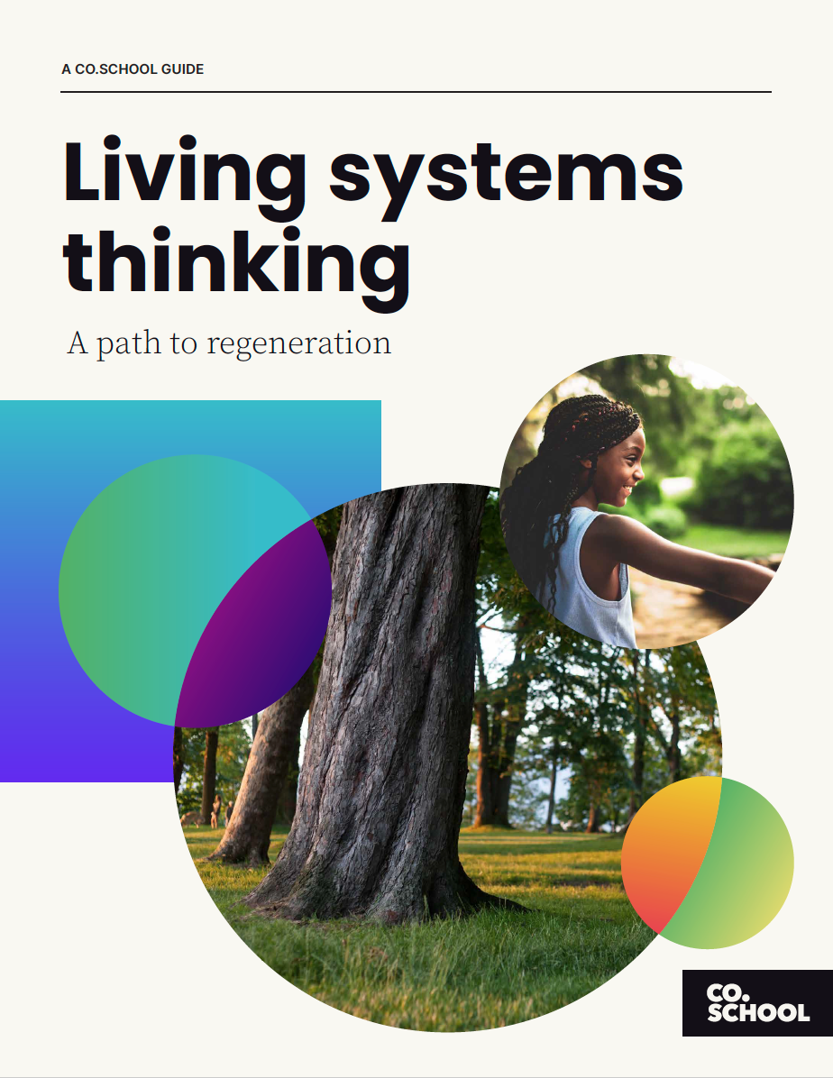 Cover image of the Living systems thinking guidebook