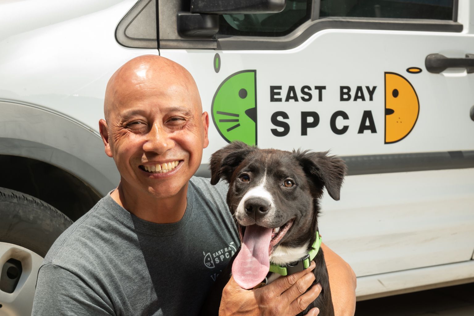 East bay best sale spca dogs