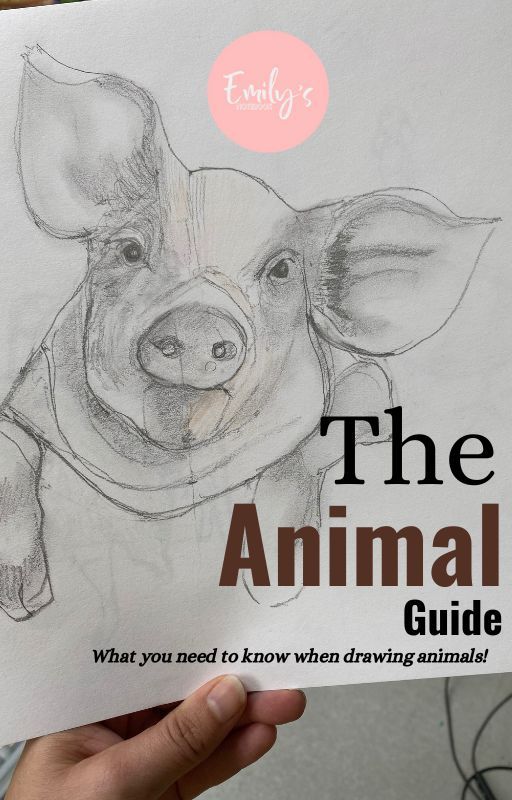 sketchbook ideas animals