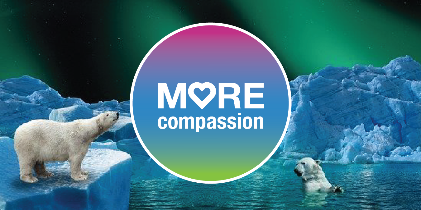 MOREcompassion for People and the Planet