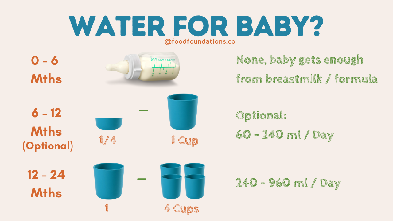 Does Baby Need Water?