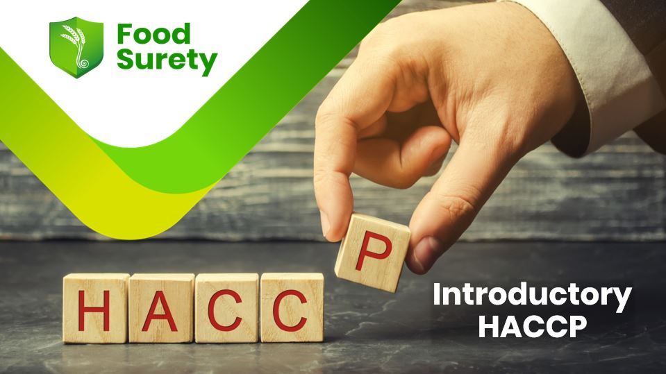 A picture showing the hand of a HACCP trainer holding the  last wooden cubes of a set that has the letters HACCP written on them, this picture is used for the Introductory HACCP Certificate NZ based course food surety Limited